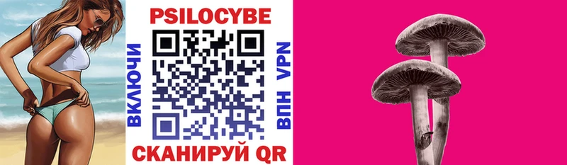 Купить закладки  Мещовск  Псилоцибиновые грибы мицелий 